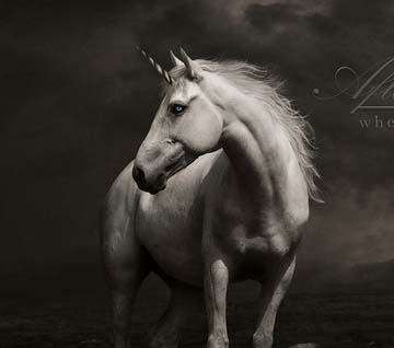 Web漏洞扫描工具