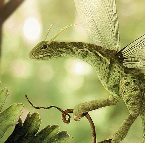 攻击网站服务器