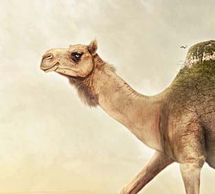 ip攻击器网页版